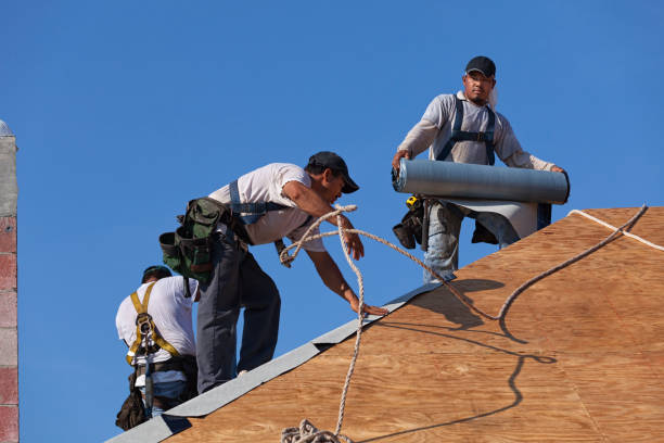 Best Gutter Installation and Roofing  in USA